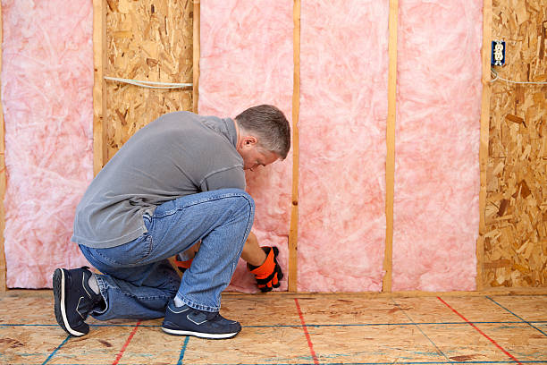 Best Insulation Maintenance and Repair in Surrey, ND